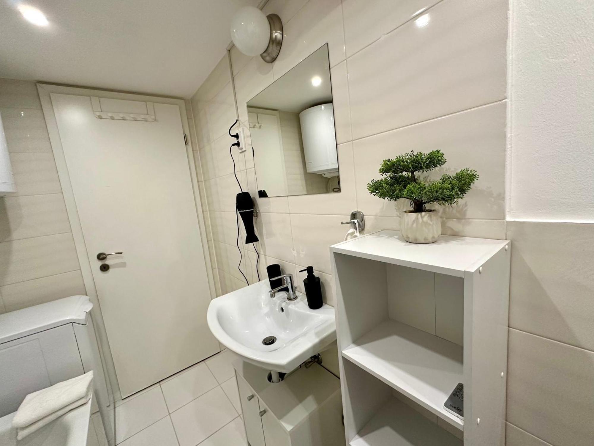 Alexander Guestrooms *